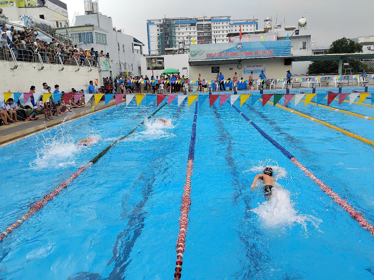 Giải Thể thao học sinh quận Bình Thạnh năm học 2024 - 2025 môn Bơi lội
